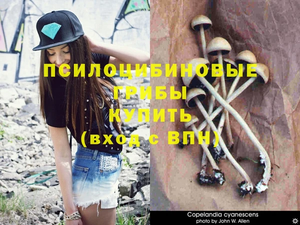 бошки Дмитровск