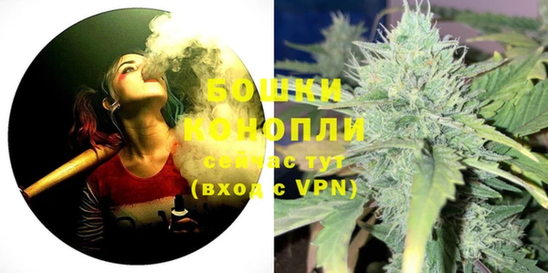 Альфа ПВП Ельня