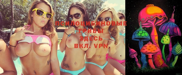 дмт Дмитриев