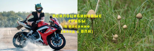 бошки Дмитровск