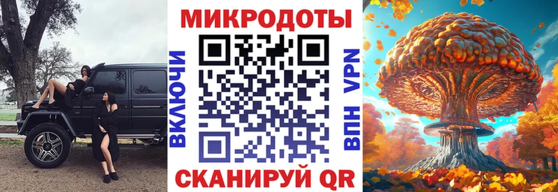 Купить где  Касимов  Галлюциногенные грибы мицелий 